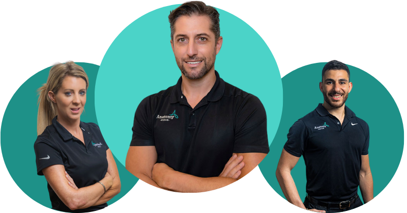 Anatomy Rehab Team Anatomy Rehab Team